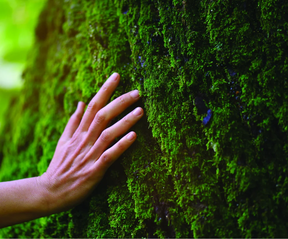 Outil de progression