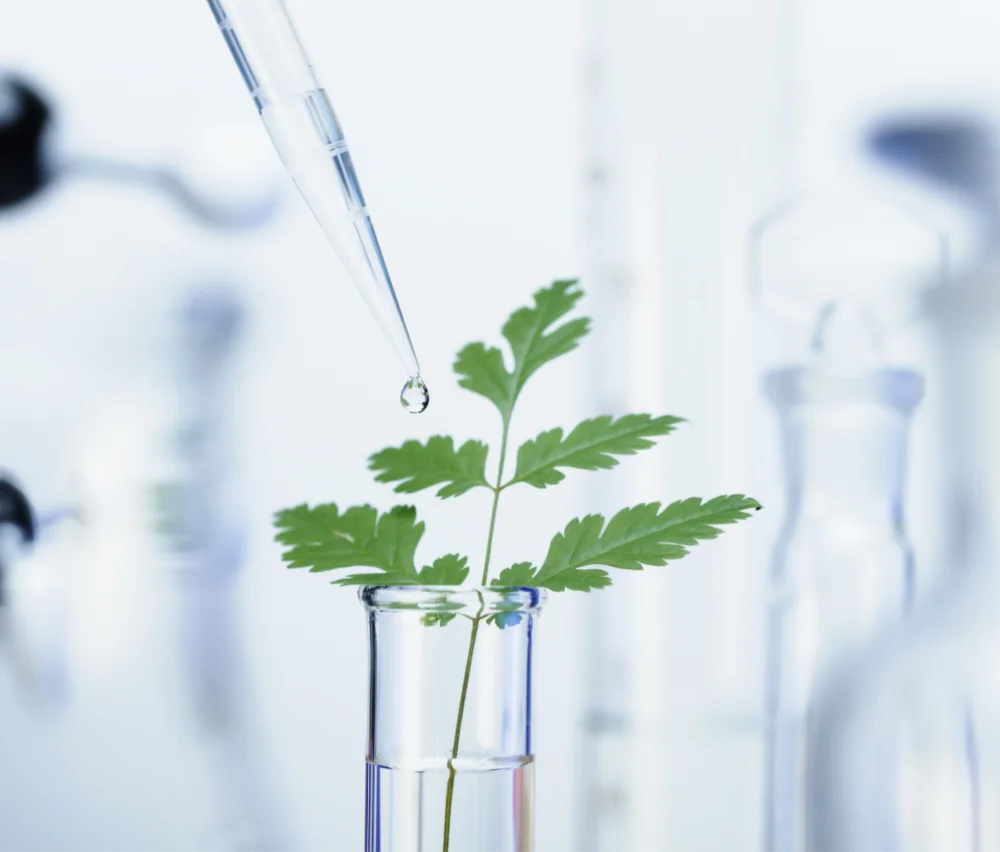 Évaluation d'un produit